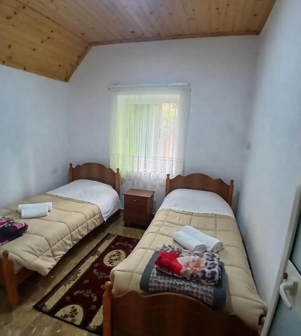 Bed and Breakfast Bujtina Milani Theth 0*,
